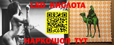 прущие крисы Новозыбков
